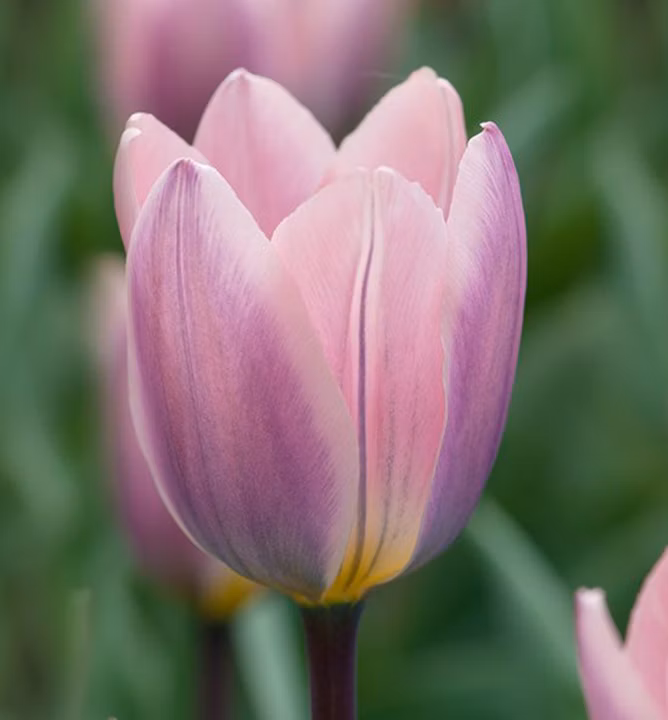 358362b08ce83b9debda46eeafdf9b8c