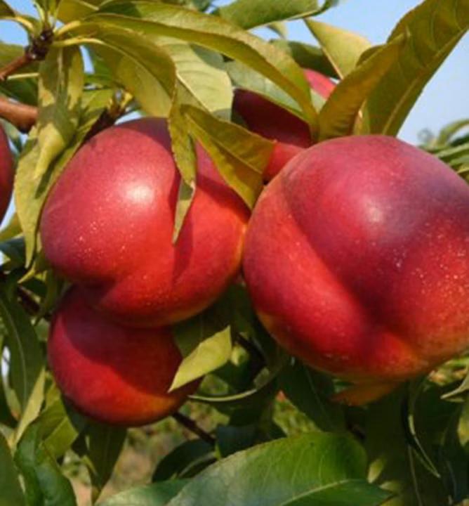 35ce49d28c56f64e5f3c309e50607d99