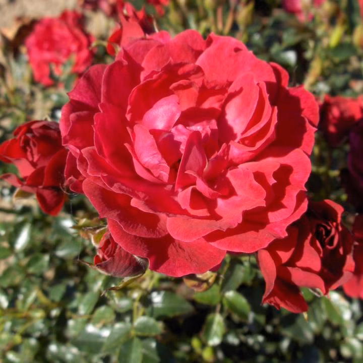 35d9c9ffeabe617683faaeaa34c4f7bd