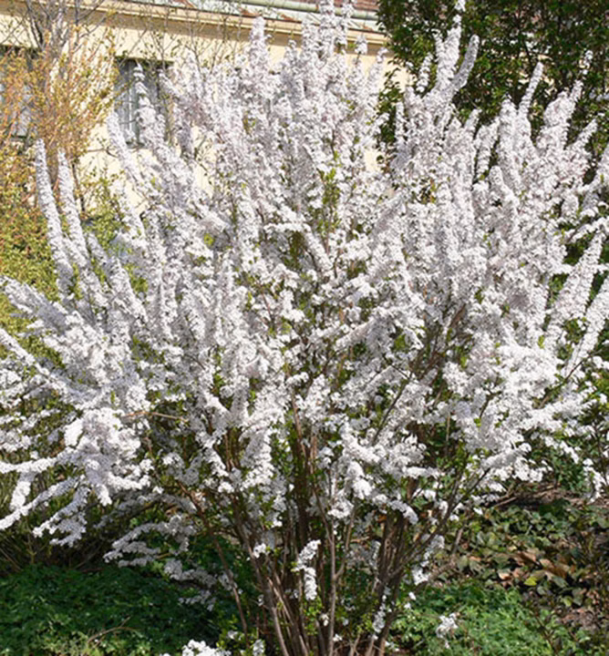 3604fd7efca67f3262c5a6e0764e519f