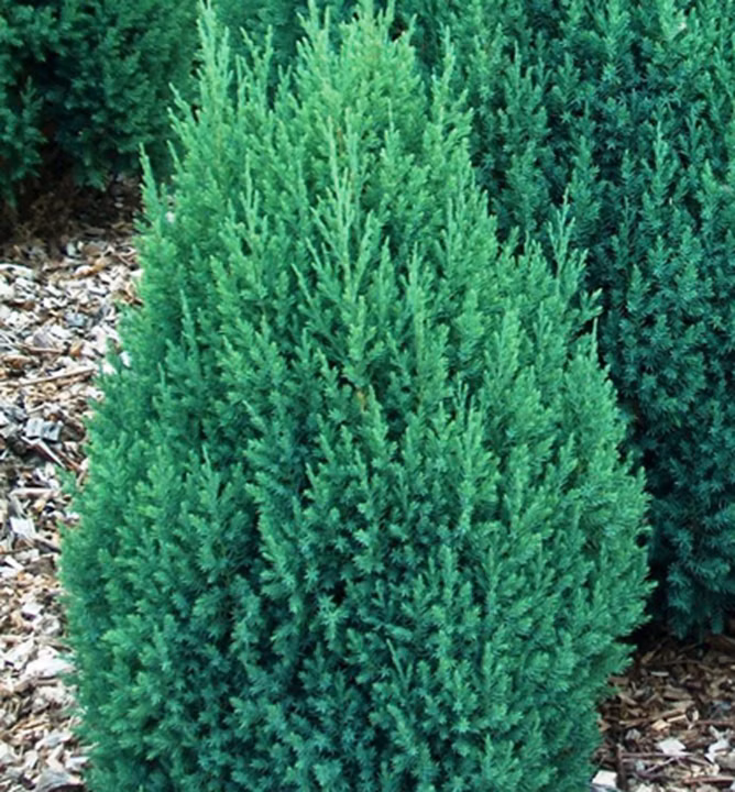 360b7a57d6746ce5877930ba2852d3f6