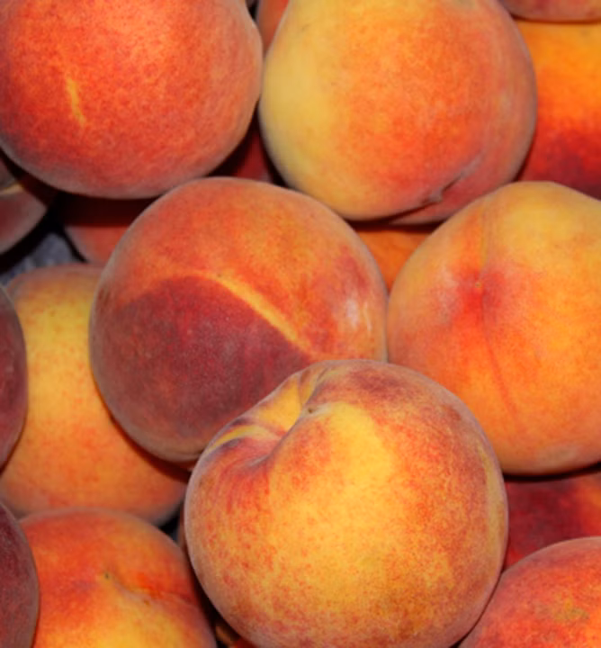 363d49e41207b0212f143e48d9cdda46