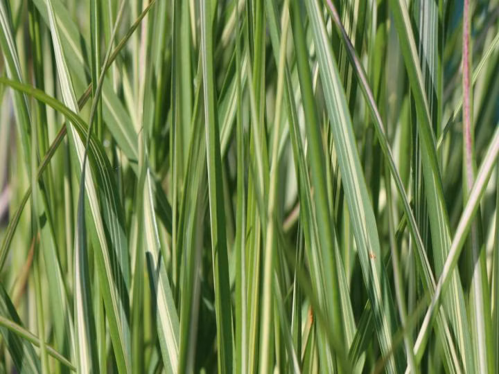 366b821d4785b9cd87cbe9340afadd83