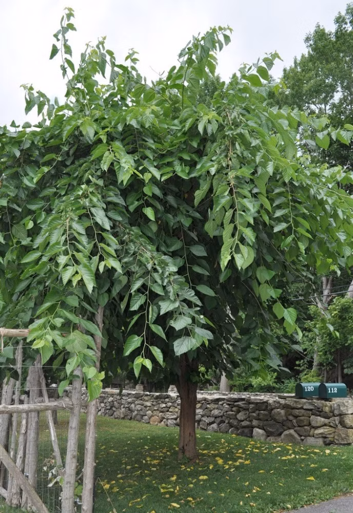 366c9b891a49575a0dcd65a1e0c98639