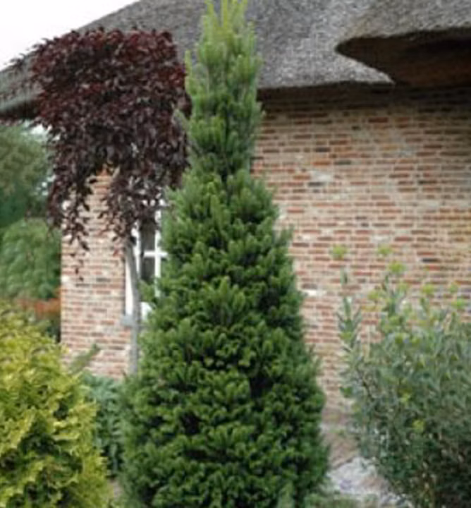 36c3dd647aedc884f46ef0c3714a4d09