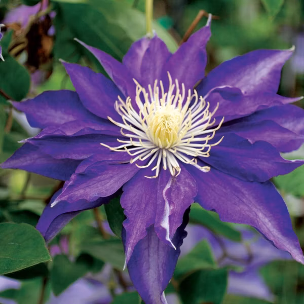 36eb44582429bd0250f07fd8c2a904f1