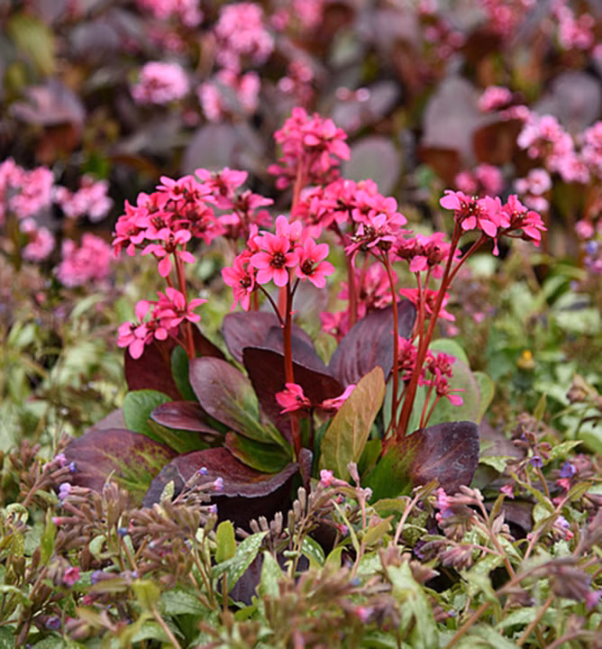 3719ed996315c3e94ef3137bed889db3