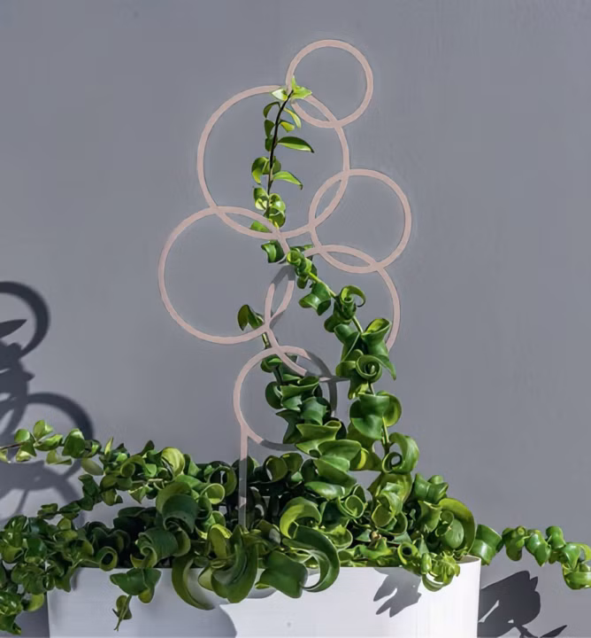 371a2d7e31be240617eee8e84bffa442