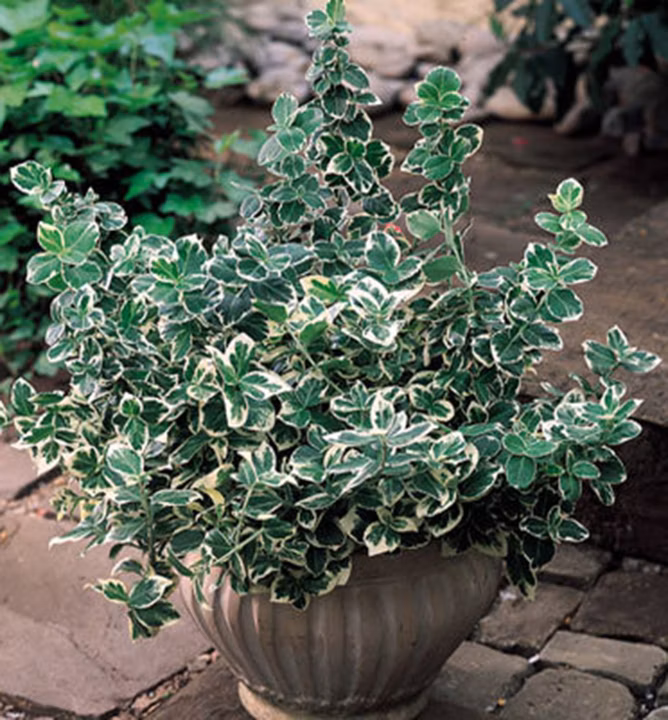 375dbacce98709e2cb55986883f97e28