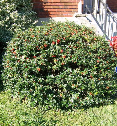 379233e77f9964dc64728dc83fd357eb