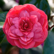 379f0c52bdb148df3229406b6013f30e