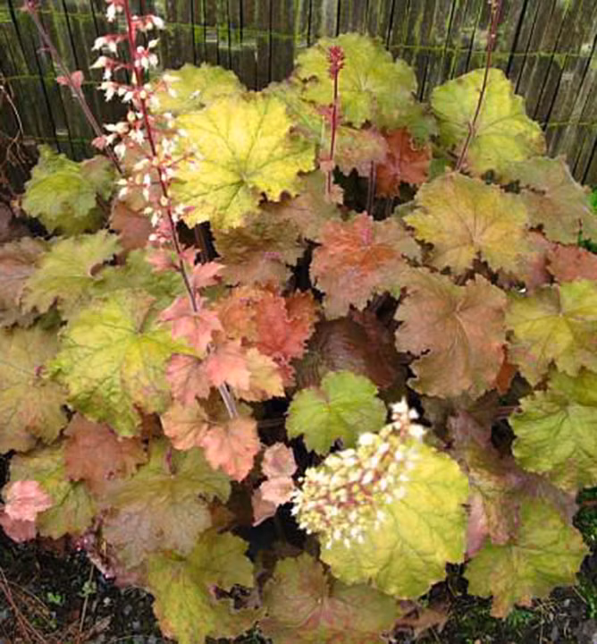 37b3999524f8d594f323eb7902bee0c6