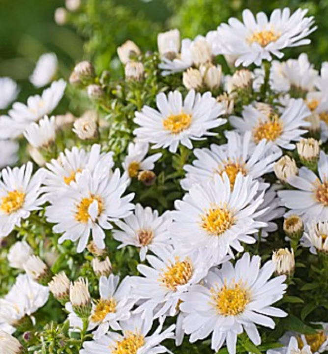 37b441494d23f872003413cd9f0dee7b