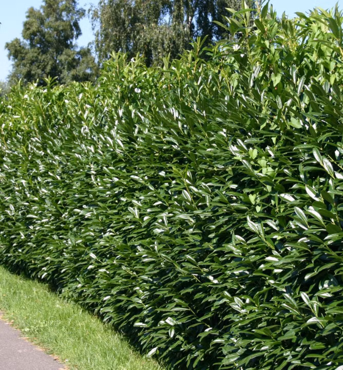 37c5bfc9e3822ff24aa7ed243ef8ac6c