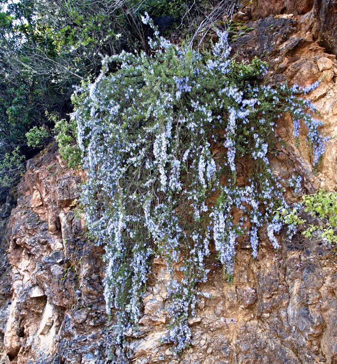 37dd391c39b34525da9d1d5d10dbb594