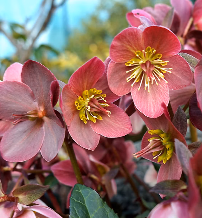 37dfe14e9bd85eedacade59ce2cfe2ab