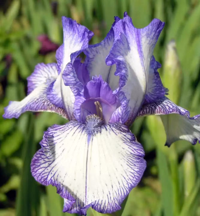 37e3fa4648c609fee0e9efb3dd8c2dd9