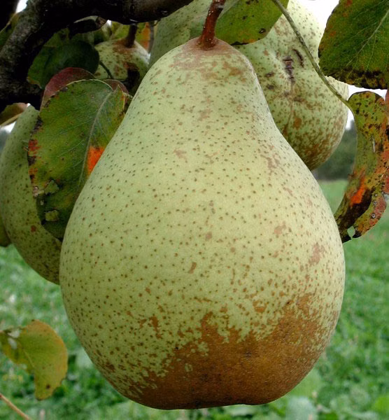 37eb003ef60b22b96f16fb3e89310489