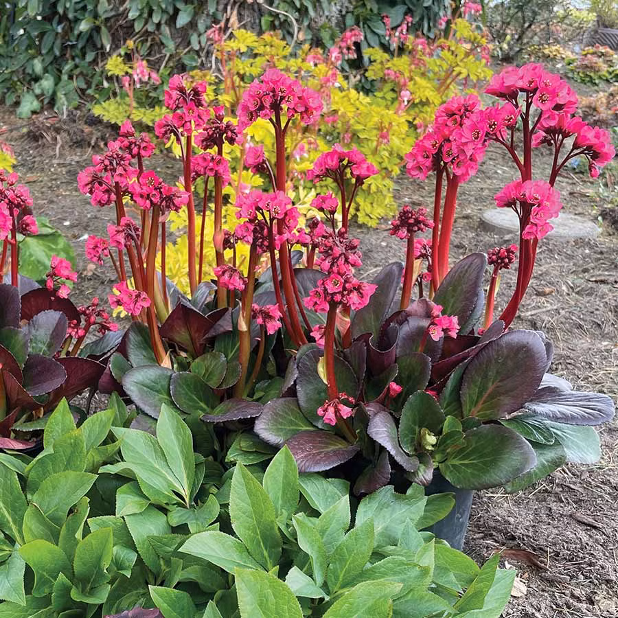 37fa49cf63a73b00258bcd18d71abd09