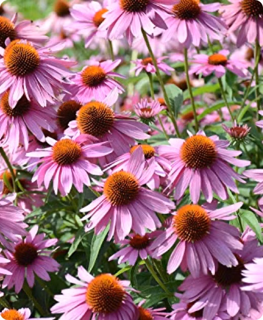 380eda13f472daf6f299636145b28c7a