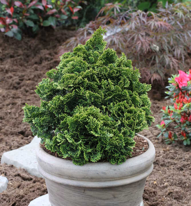 3827440e5ae202a39c730e3767022cb3