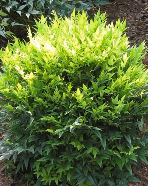 384b37d96efafe7051bd819cce2d2f6b