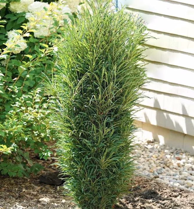 3901b23d012e9862fecfd7393fbff2f2