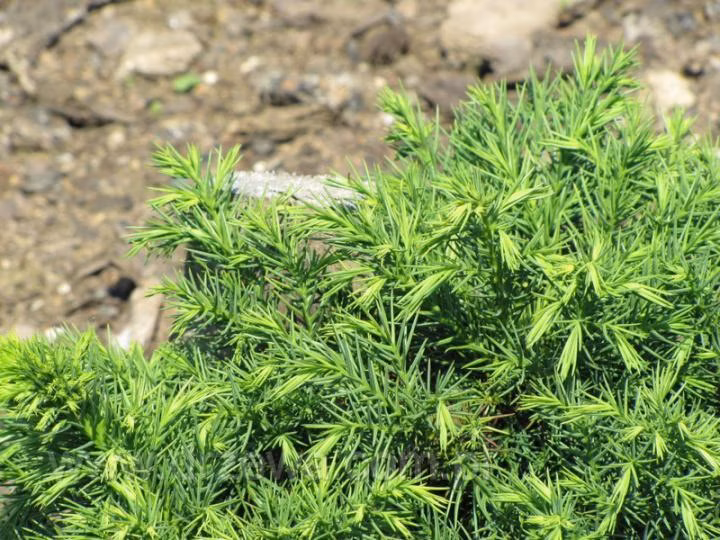 394a0ab3008dff164731042e5ef48afd