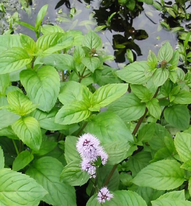 396220ccba2293d6d63449b559b94c02