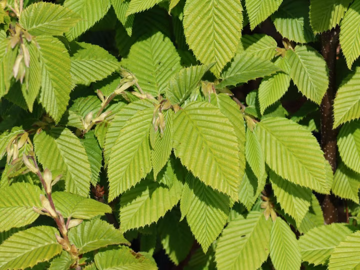 39689409fedbaf40a17d31782738b641