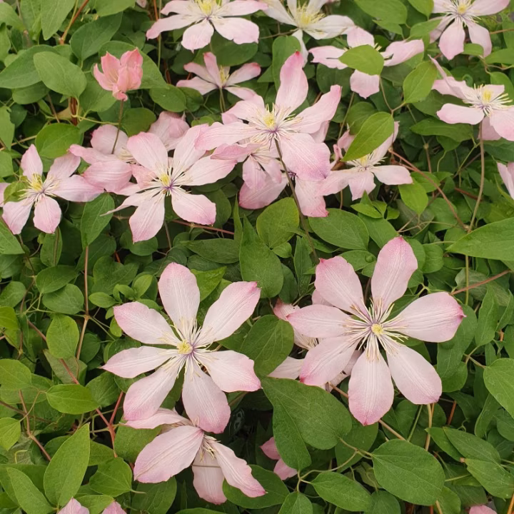 39c34ceb8db6cda7c56b9387e19dead1