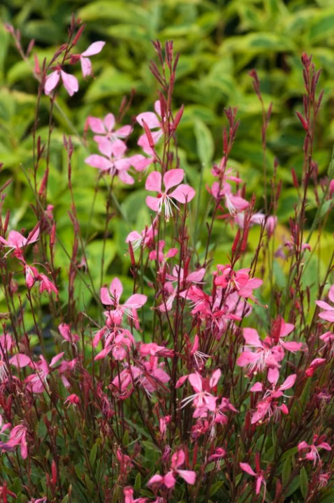 39daca909983dca67dc8fe807ada4095