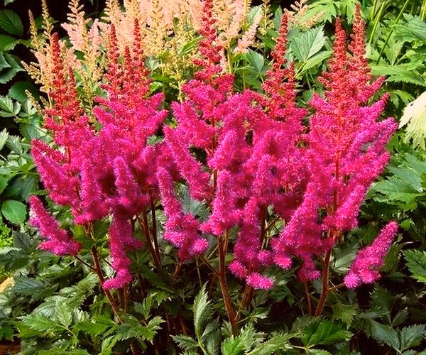 3a11702a93f4143b5eb483bda2ec0158