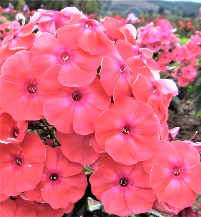 3a32e40126ba7d4d158e5d932fbf1b96