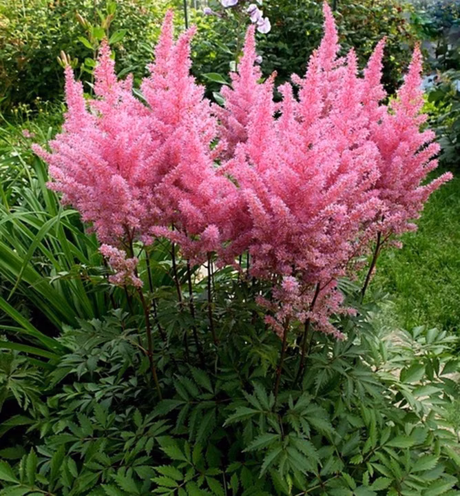 3a3f277944c8413f7ddbbe56dc5694b9