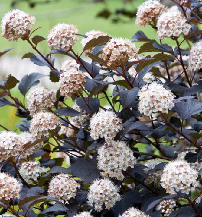 3a90858fa73c86c0fcb500fc7c844927