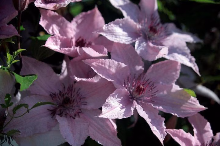 3ac81038618d39256473fd603a9028da