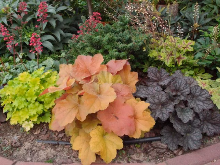 3acfd61a15260afbdfa85c43823a5dea