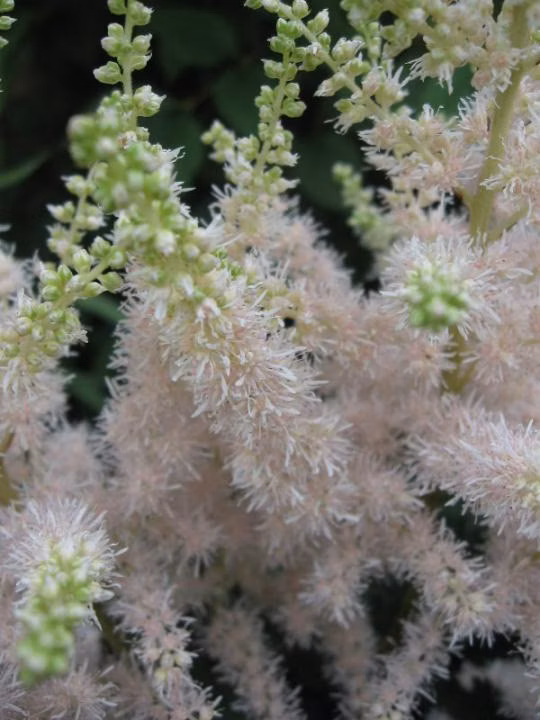 3ad5c0d5228b28b2554f621d27f5373f