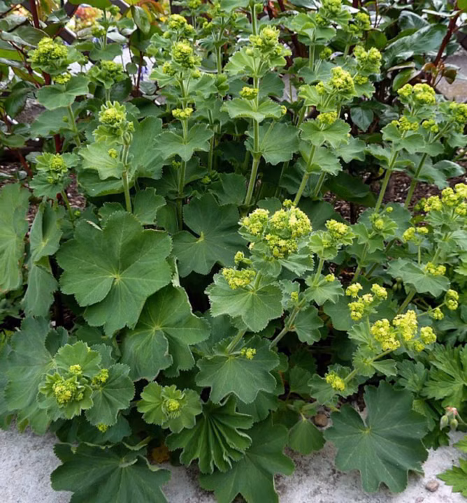 3b342209d16a64c3a3b6ee281b3b8255