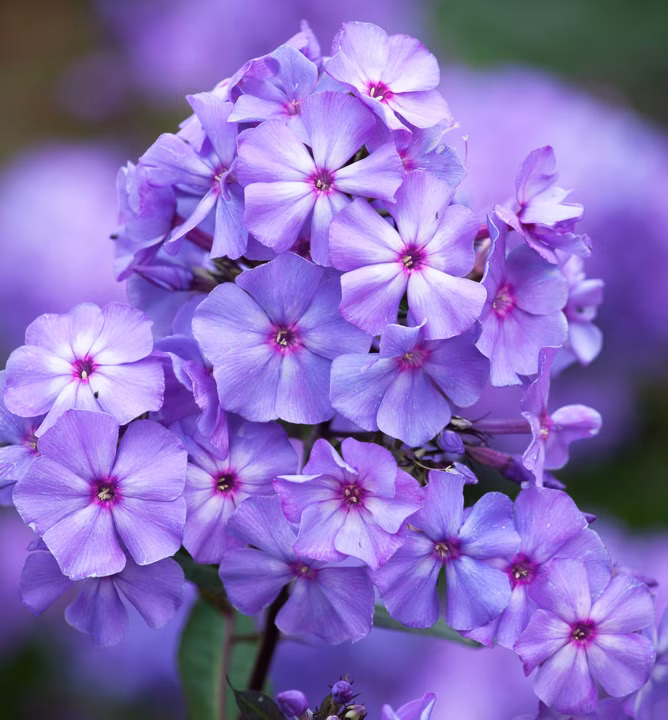 3b3763eec75dbb09cd9bc20bed73f71e