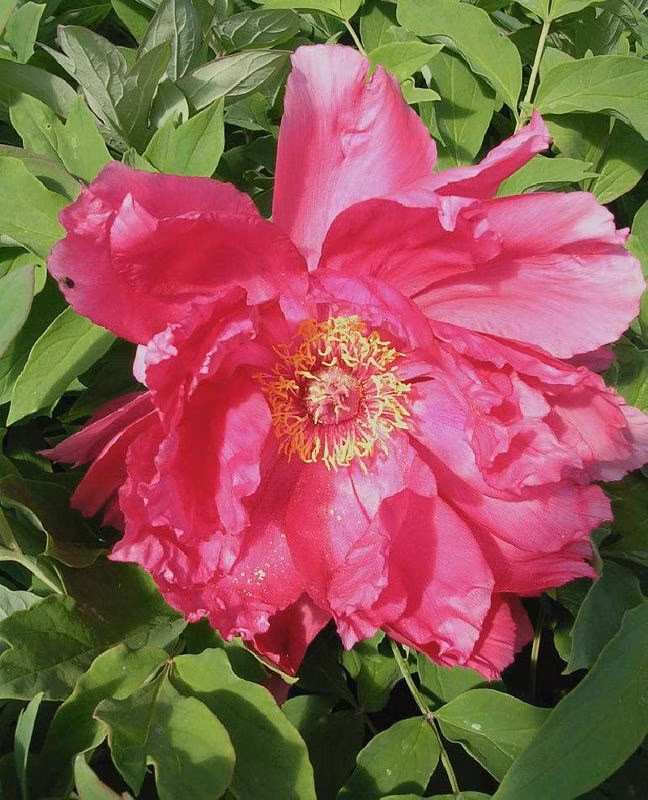 3b3c0eb2355cf5ef924a54b1e8584c85