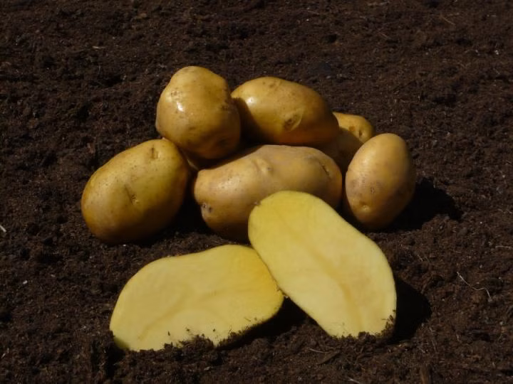 3b74899845dcaff01cbba5d4292e69e0