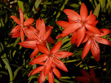 3b9d6cbaefc14d79736a6e23e9a7e584