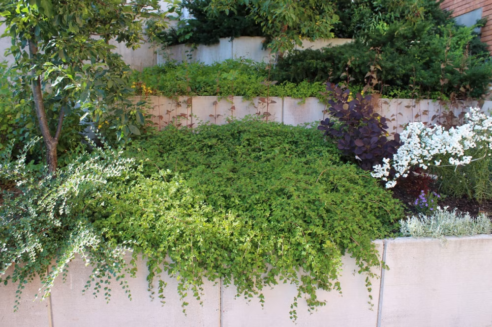 3ba7c7c40946460d5cd730bd4f0f64f3