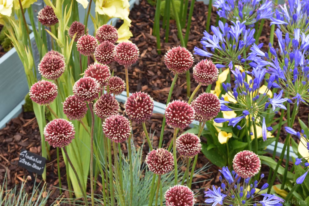 3bba779a054039f4119e3dfb1fadc893