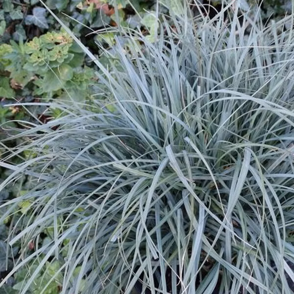 3be59016008c272f2a0af0cb04b8dadb