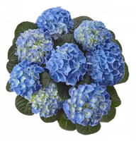3c41bf60399bc9ebc93ac7bd8a258dd0