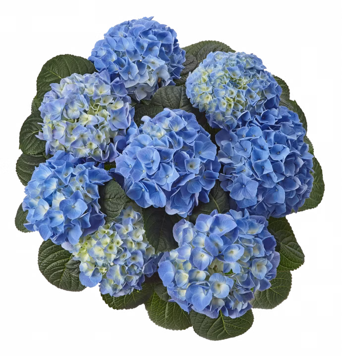 3c41bf60399bc9ebc93ac7bd8a258dd0