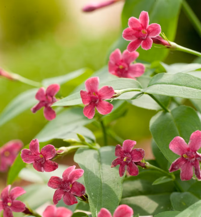 3c4980e5ee7ed0f27d4175343371ecb1